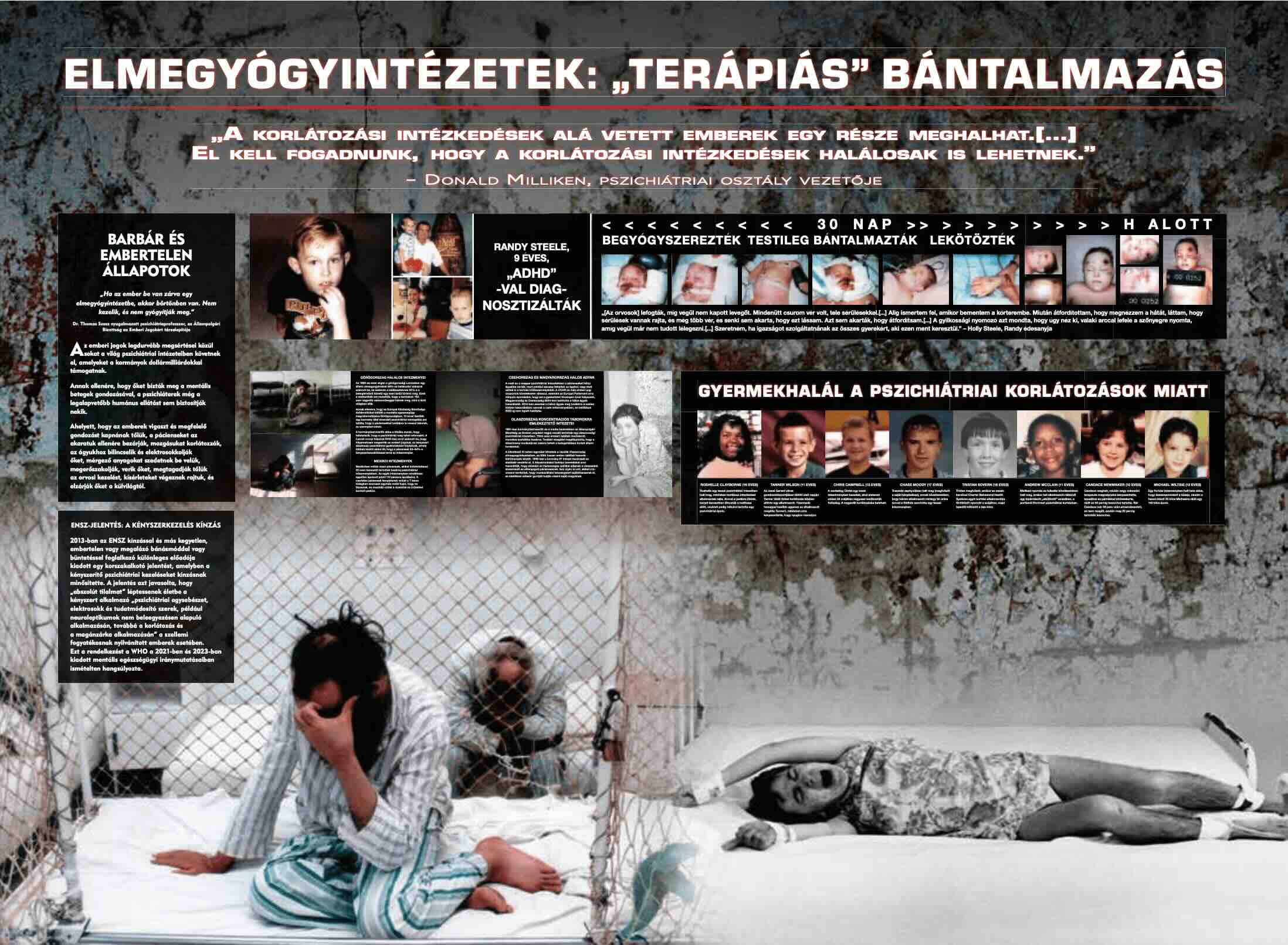 Elmegyógyintézetek